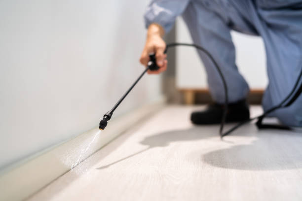 Licensed Termite Control service in Carver, MN - Nex Pest Control