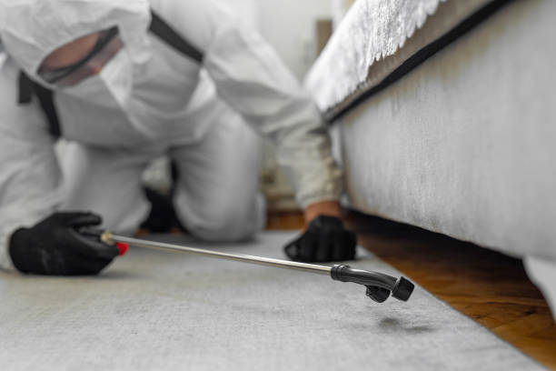 Professional Termite Control technician working in Carver, MN
